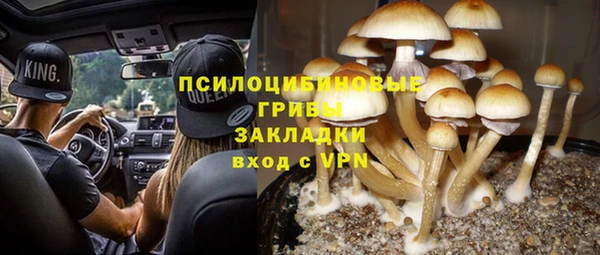 экстази Пересвет